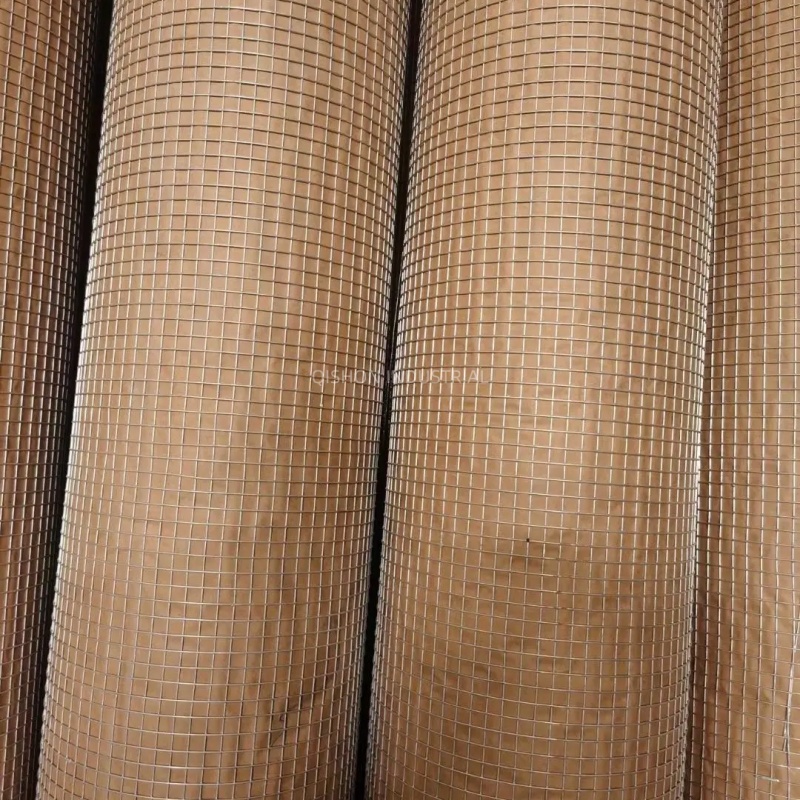 Competitive Price Welded Wire Mesh for Filter Media Pleating